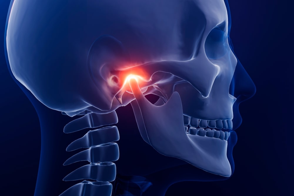 Une illustration 3D des articulations temporo-mandibulaires